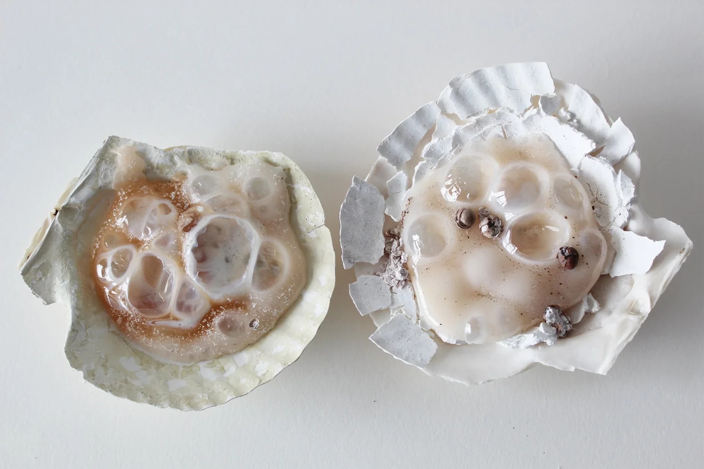 Two shells filled with glass and crushed pearls on a blank white background.