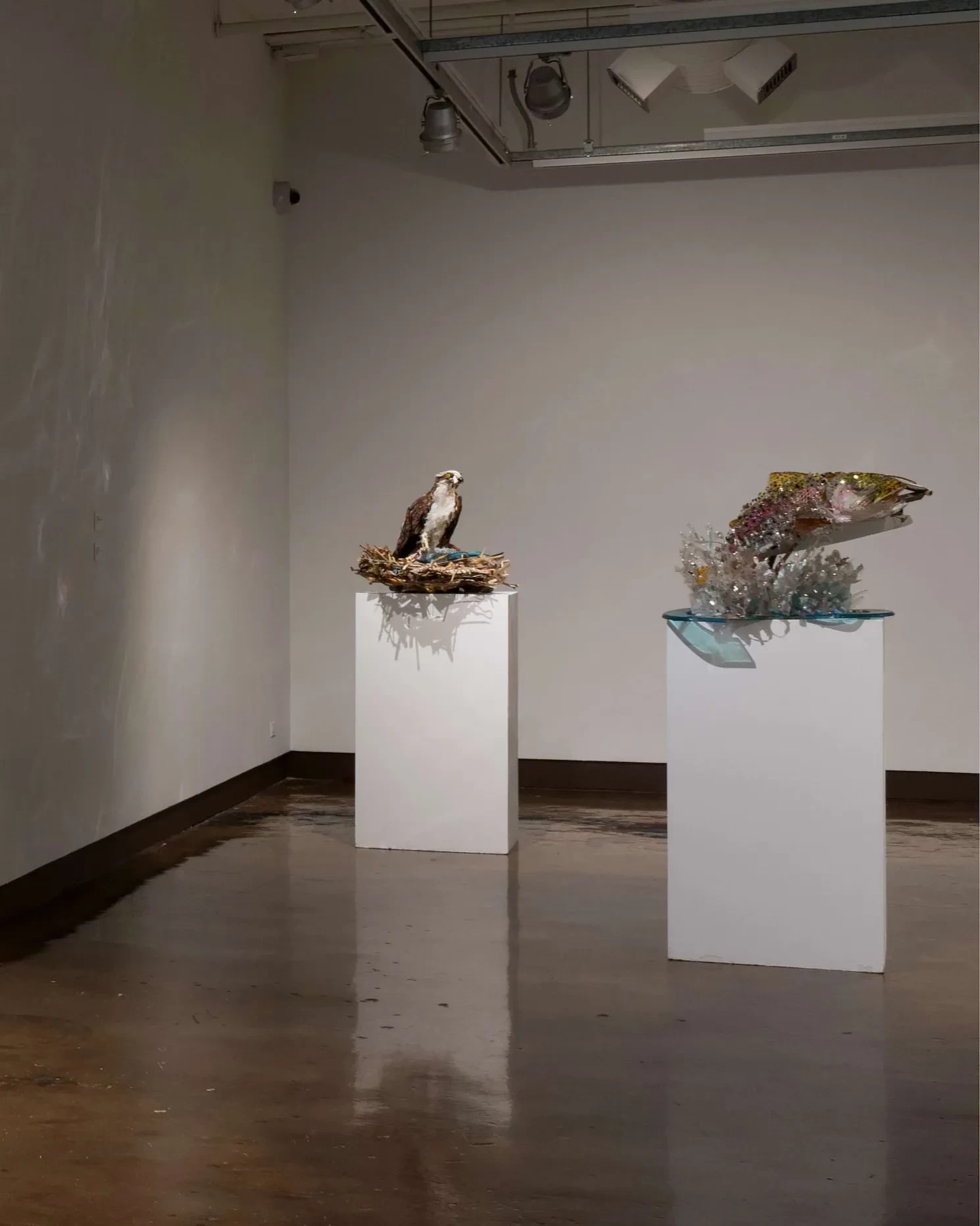 A gallery space displays a couple of sculptures made of plastic; a fish and an osprey.