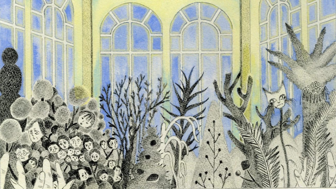 Plants and the family tree in the cabinet grow in the greenhouse during the evening.