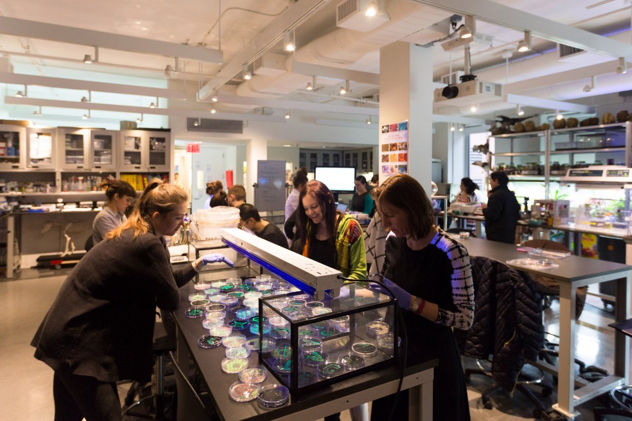 Agar Art Painting With Bacteria Workshop March 1 3 2018 Events