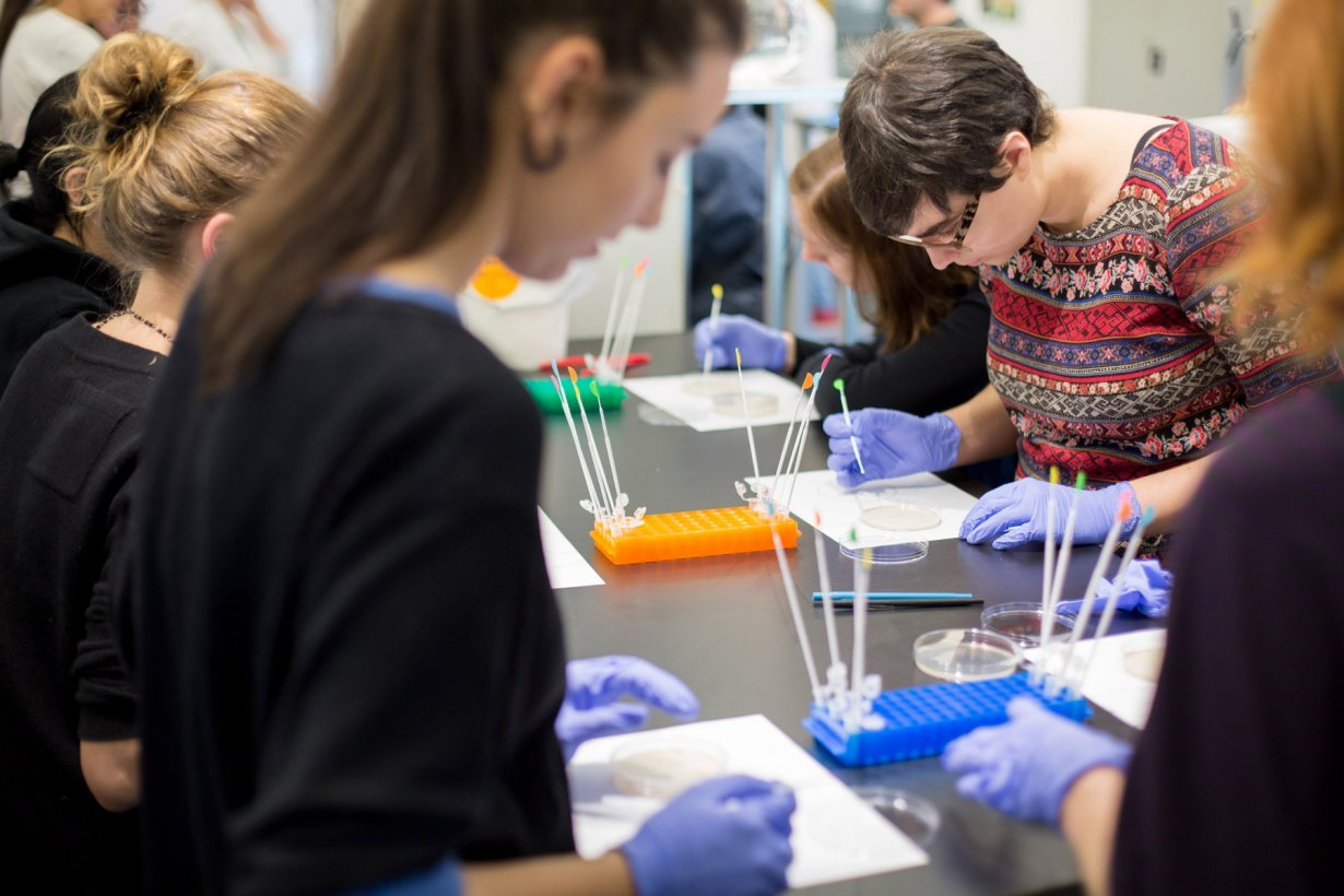 Agar Art Painting With Bacteria Workshop March 1 3 2018 Events