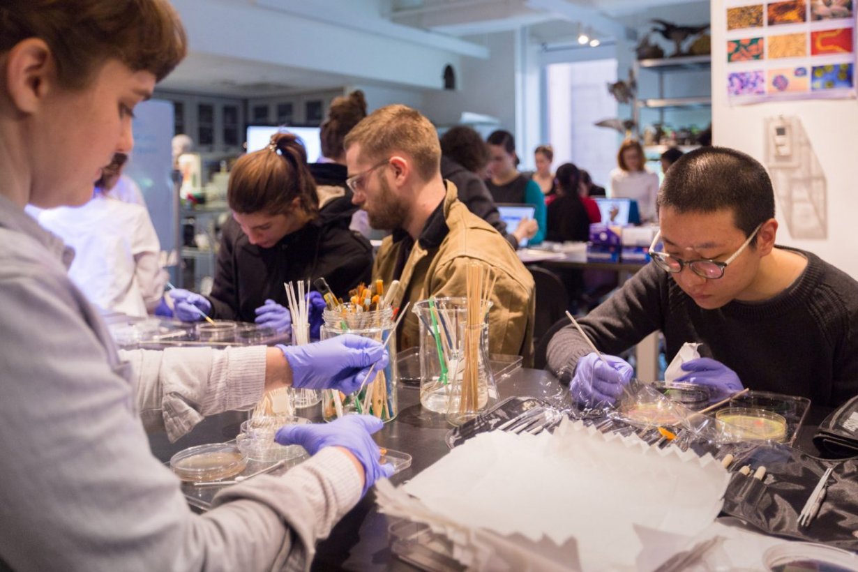 Agar Art Painting With Bacteria Workshop March 1 3 2018 Events